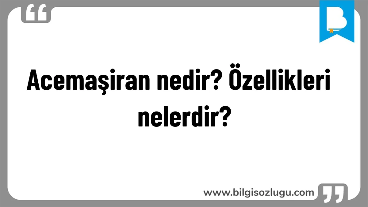  Acemaşiran nedir? Özellikleri nelerdir?
