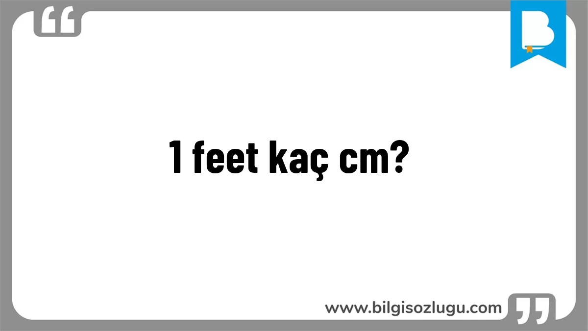 1 feet kaç cm?