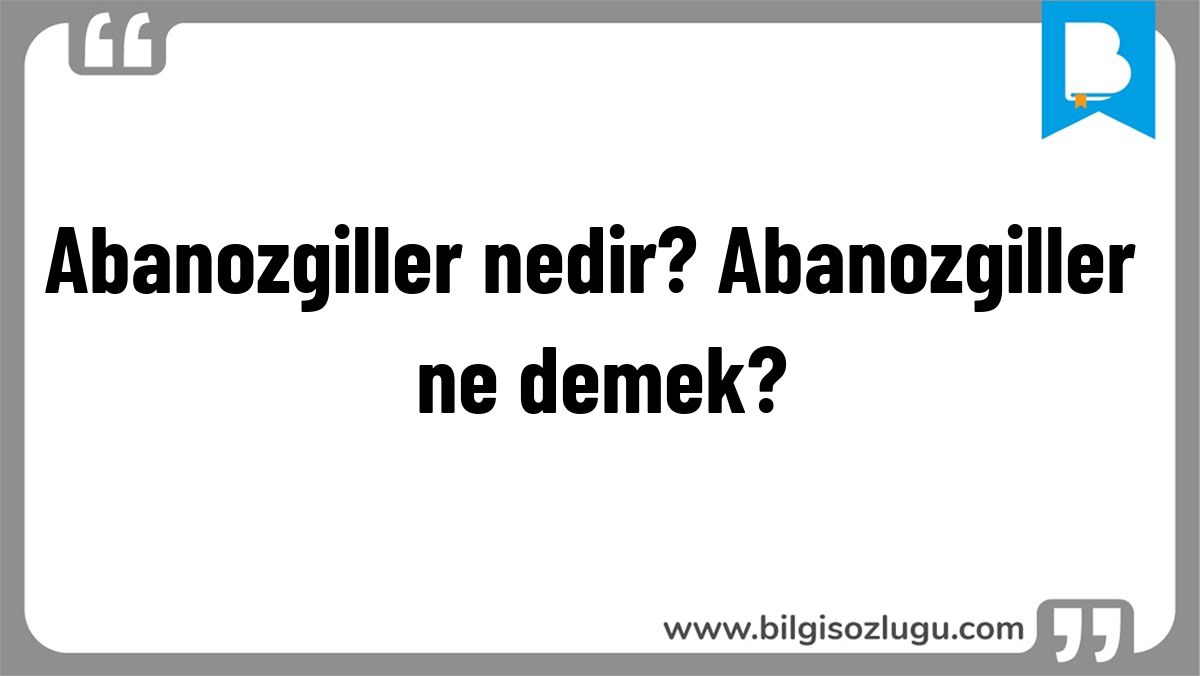 Abanozgiller nedir? Abanozgiller ne demek?