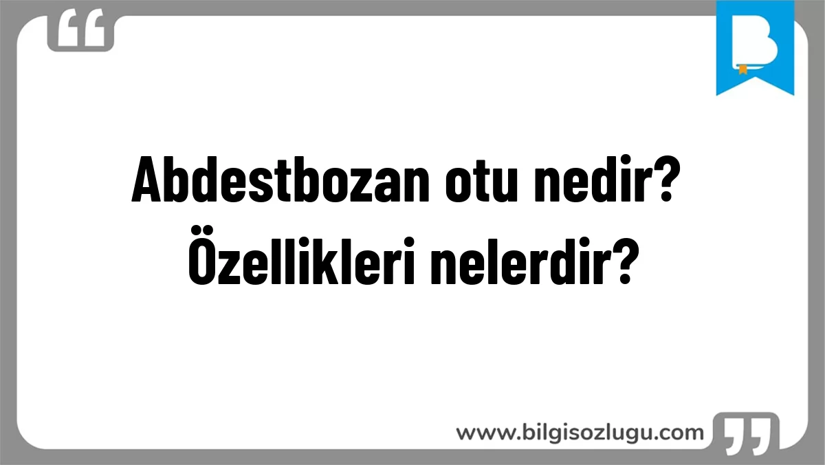 Abdestbozan otu nedir? Özellikleri nelerdir?