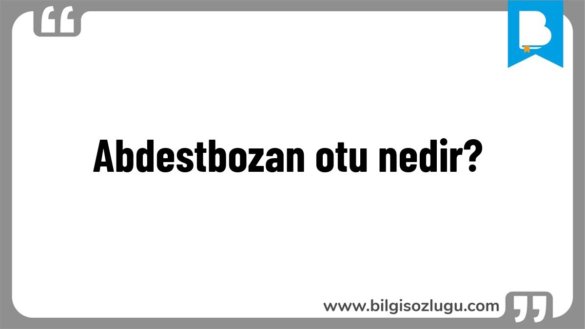 Abdestbozan otu nedir?