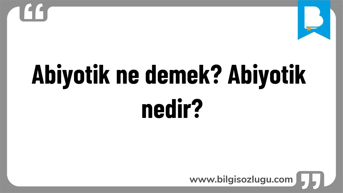 Abiyotik ne demek? Abiyotik nedir?