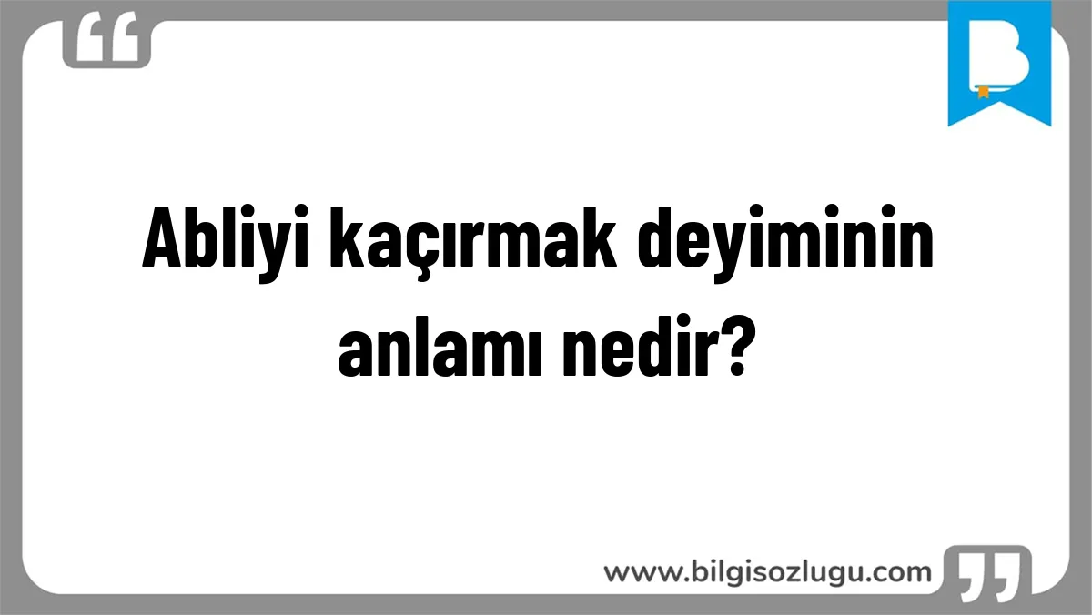Abliyi kaçırmak deyiminin anlamı nedir?