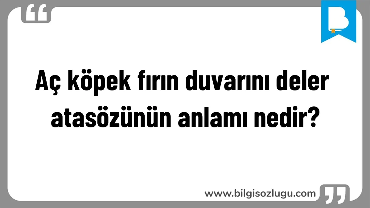 Aç köpek fırın duvarını deler atasözünün anlamı nedir?