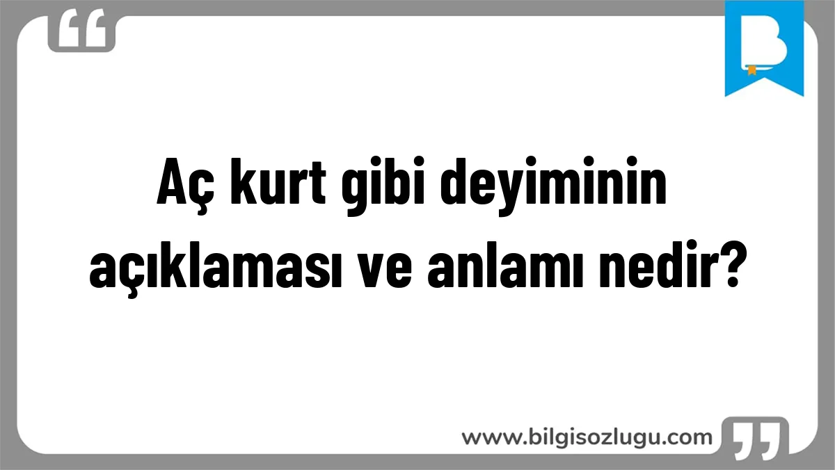 Aç kurt gibi deyiminin açıklaması ve anlamı nedir?