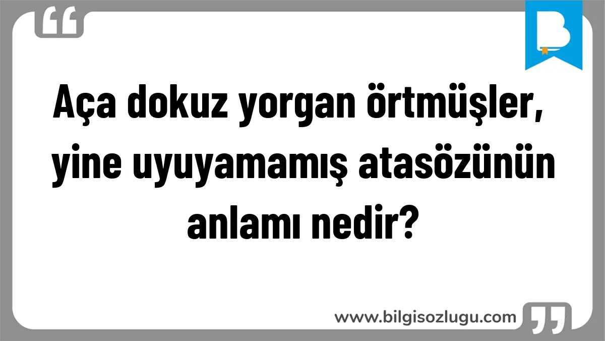 Aça dokuz yorgan örtmüşler, yine uyuyamamış atasözünün anlamı nedir?