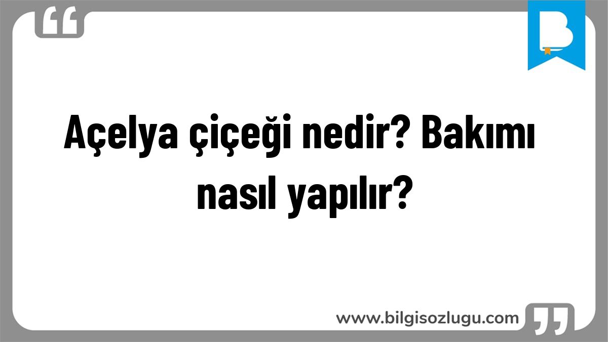 Açelya çiçeği nedir? Bakımı nasıl yapılır?