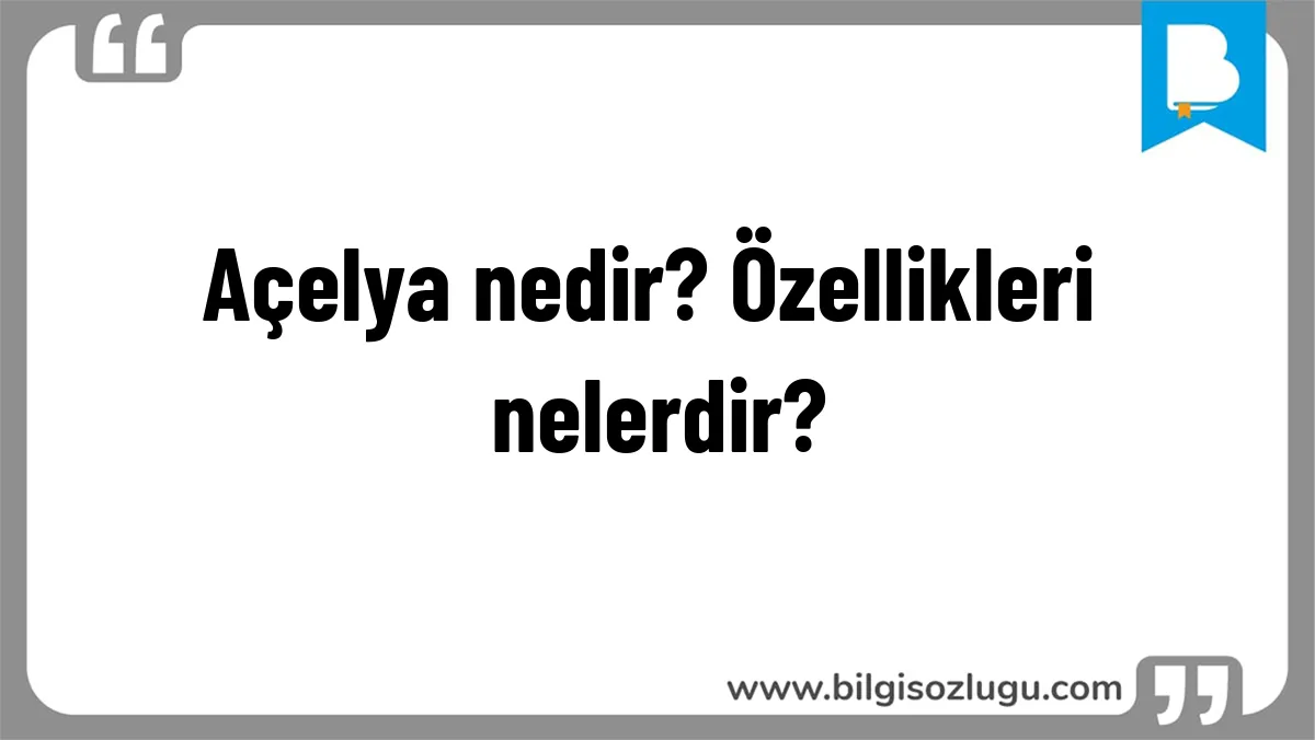 Açelya nedir? Özellikleri nelerdir?