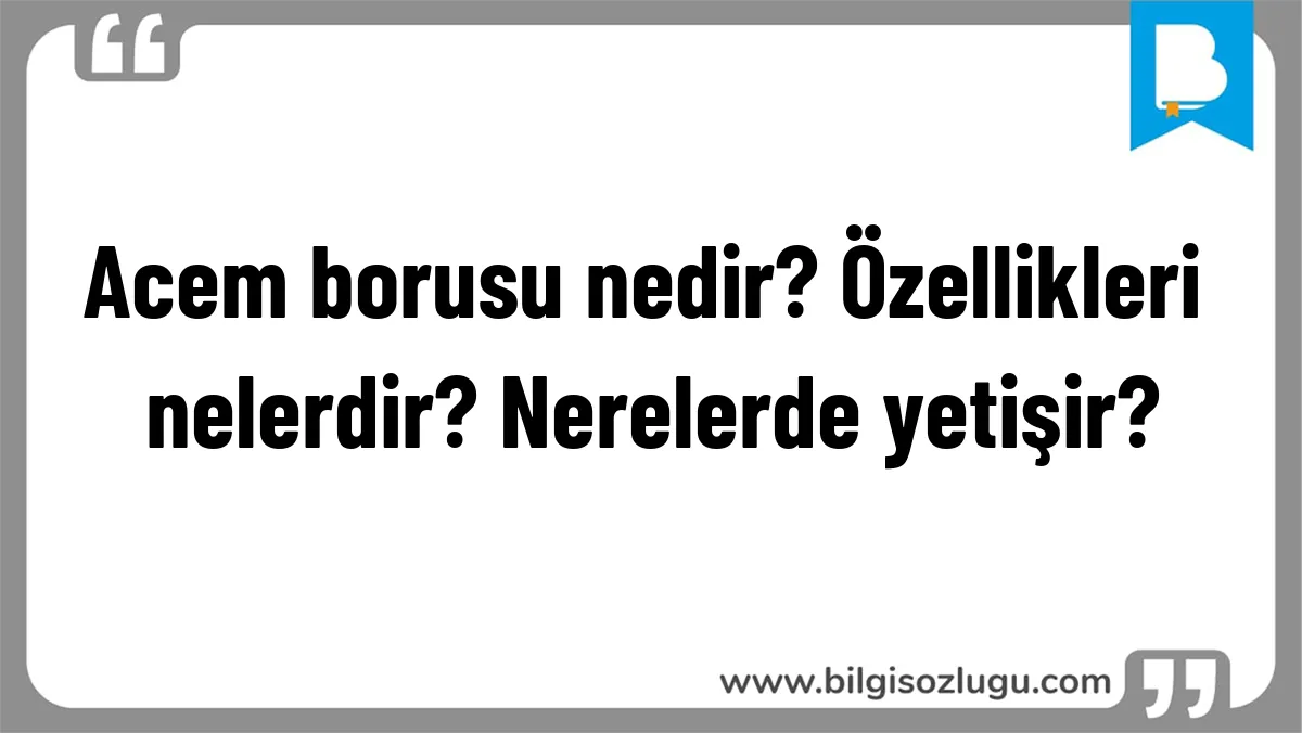 Acem borusu nedir? Özellikleri nelerdir? Nerelerde yetişir?