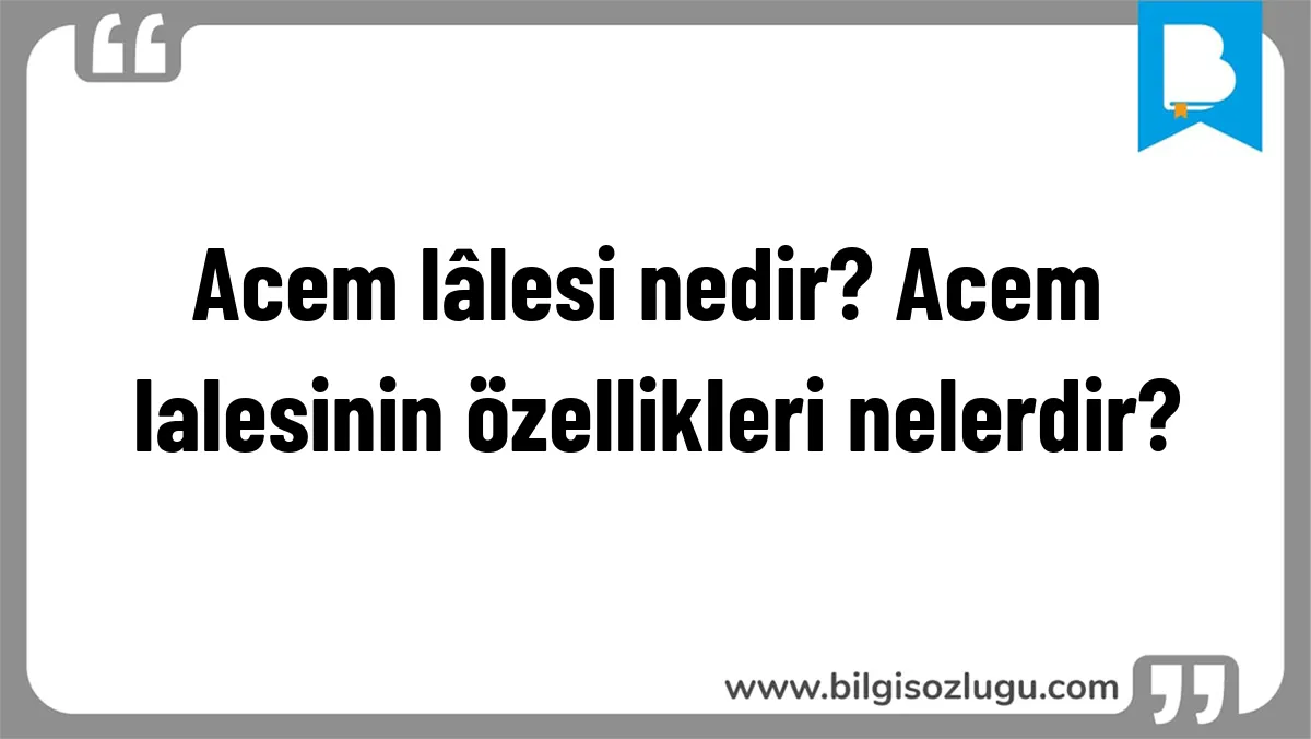 Acem lâlesi nedir? Acem lalesinin özellikleri nelerdir?