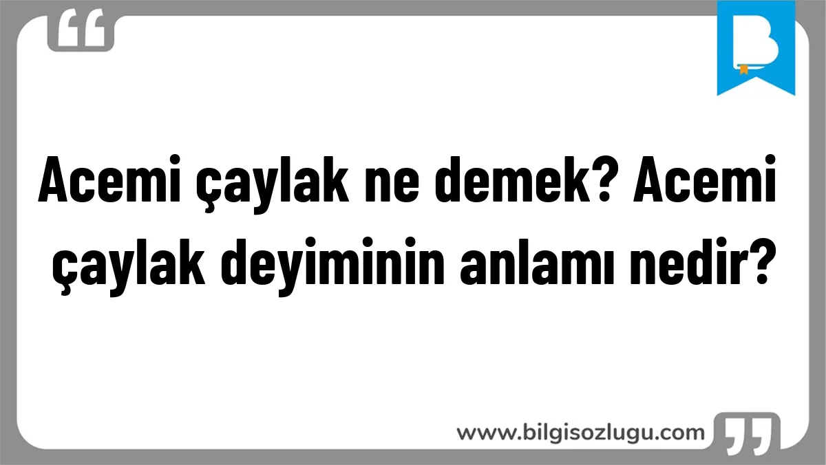 Acemi çaylak ne demek? Acemi çaylak deyiminin anlamı nedir?