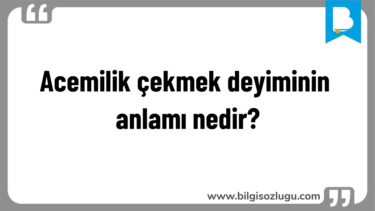 Acemilik çekmek deyiminin anlamı nedir?