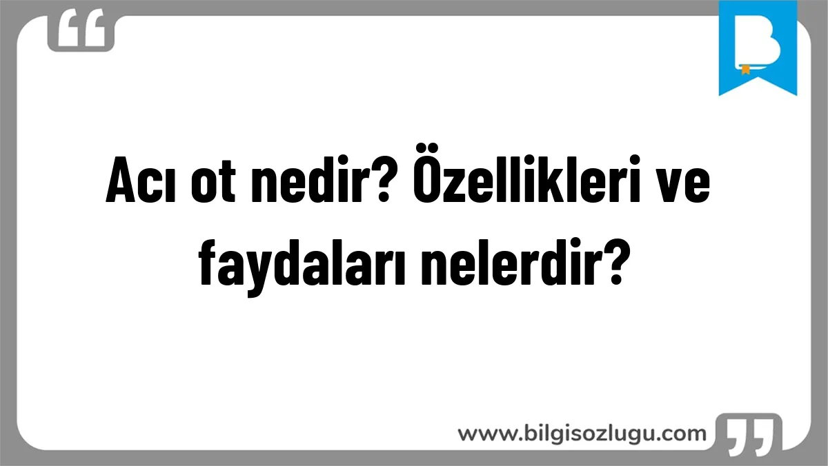 Acı ot nedir? Özellikleri ve faydaları nelerdir?
