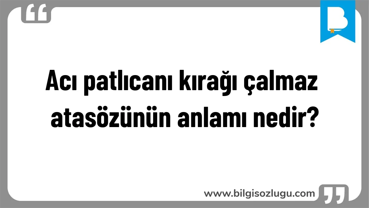 Acı patlıcanı kırağı çalmaz atasözünün anlamı nedir?
