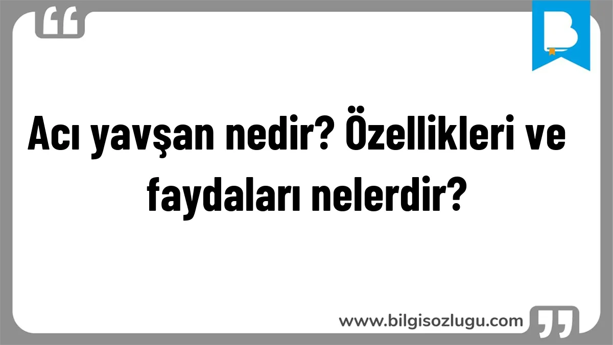Acı yavşan nedir? Özellikleri ve  faydaları nelerdir?