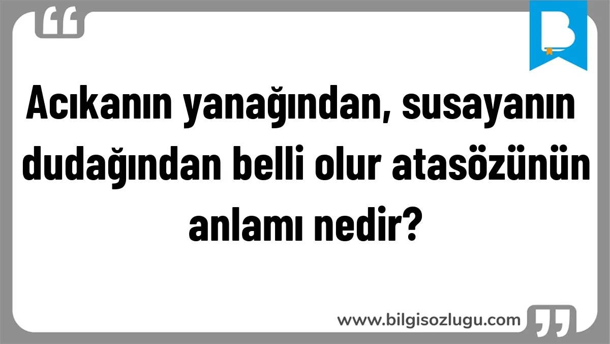 Acıkanın yanağından, susayanın dudağından belli olur atasözünün anlamı nedir?