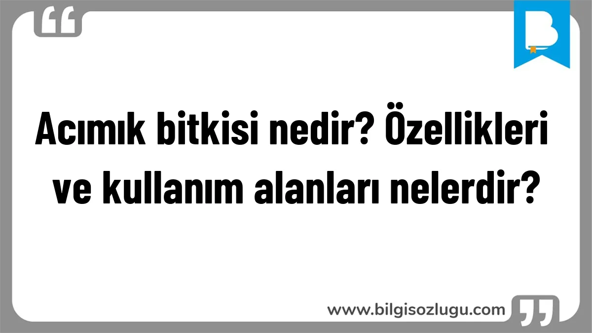 Acımık bitkisi nedir? Özellikleri ve kullanım alanları nelerdir?