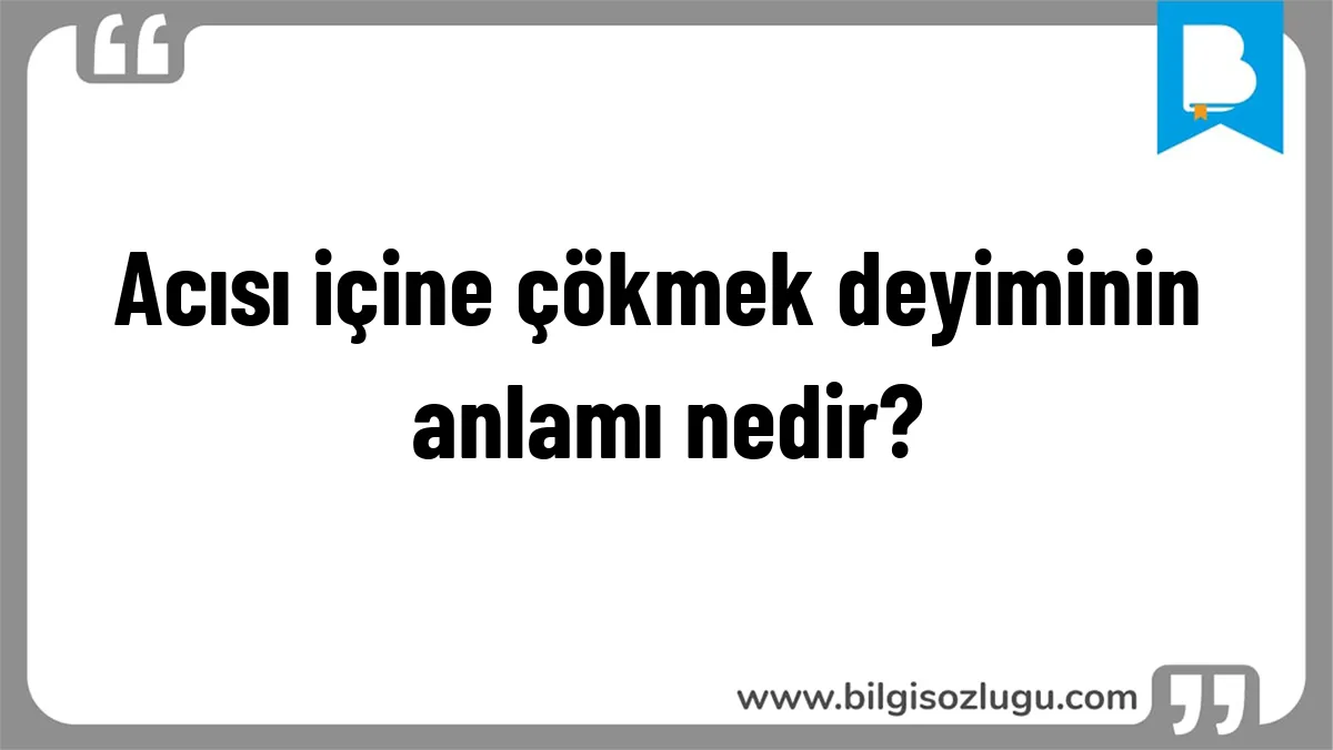 Acısı içine çökmek deyiminin anlamı nedir?