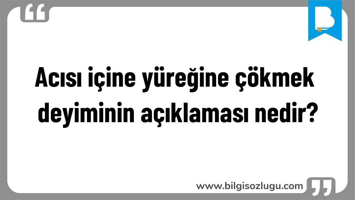 Acısı içine yüreğine çökmek deyiminin açıklaması nedir?