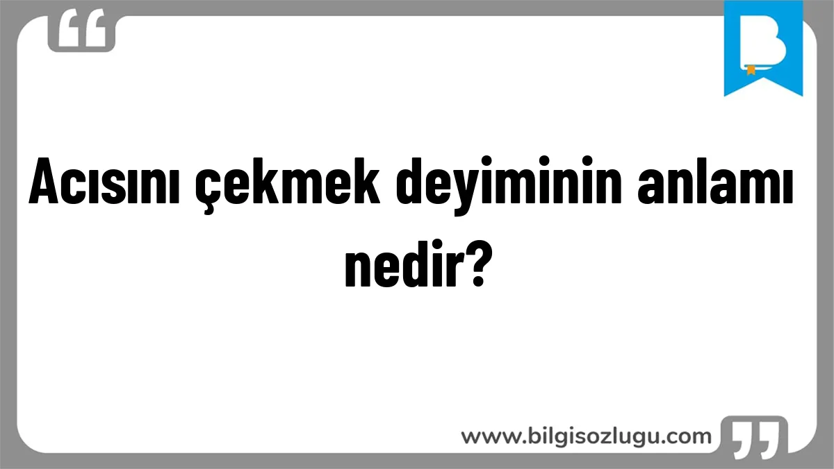 Acısını çekmek deyiminin anlamı nedir?