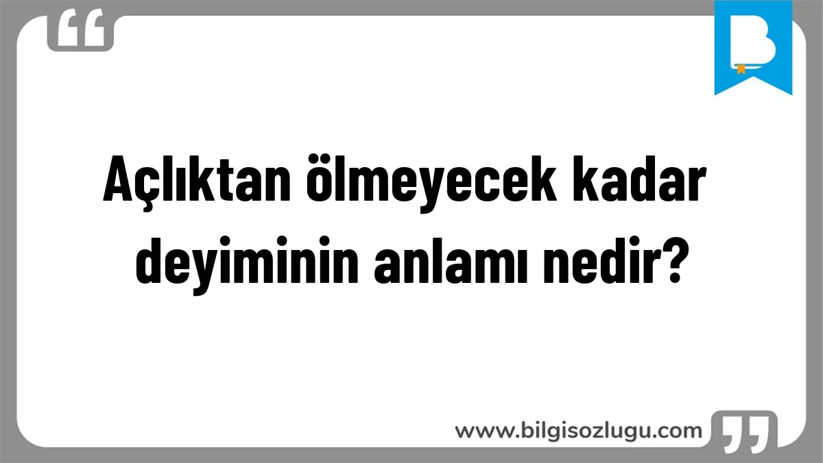 Açlıktan ölmeyecek kadar deyiminin anlamı nedir?