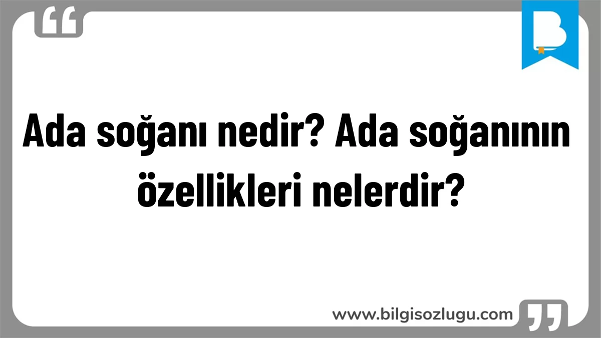 Ada soğanı nedir? Ada soğanının özellikleri nelerdir?