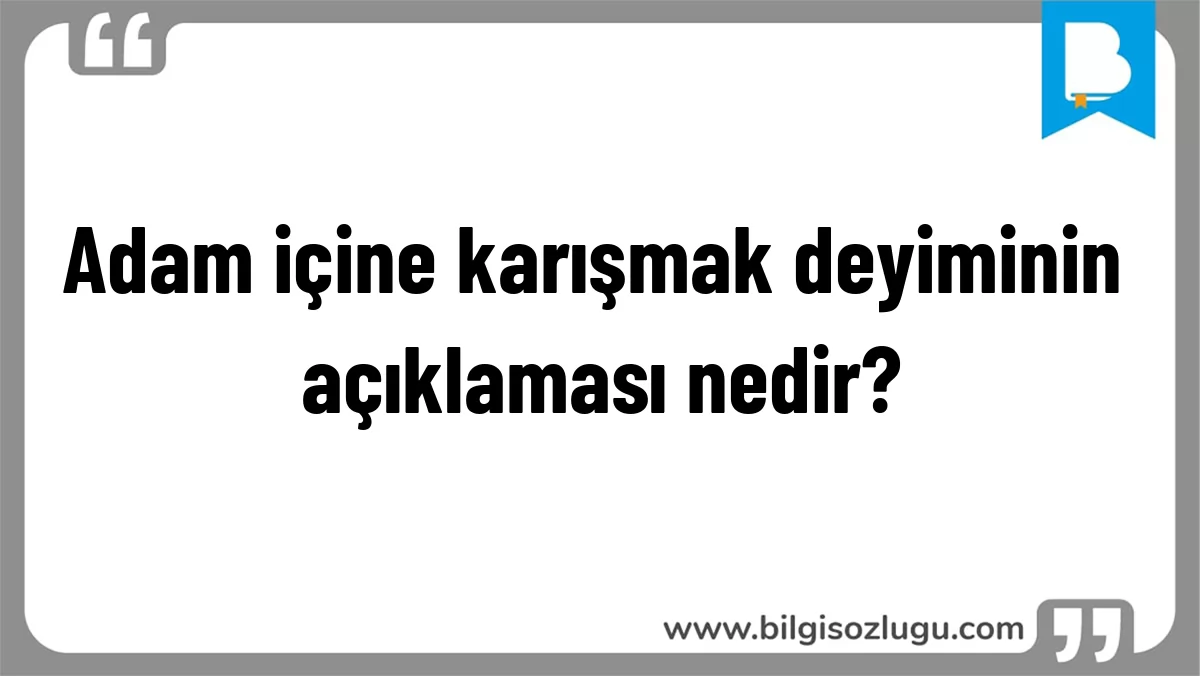 Adam içine karışmak deyiminin açıklaması nedir?