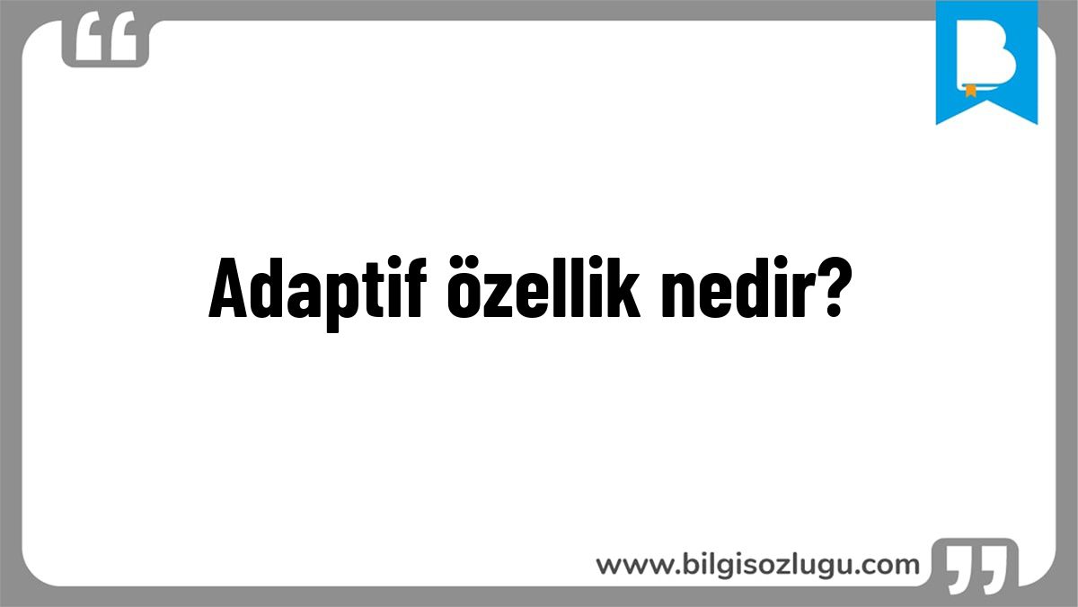 Adaptif özellik nedir?