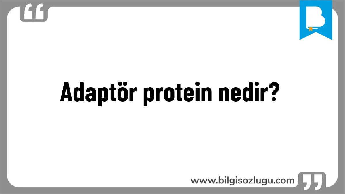 Adaptör protein nedir?