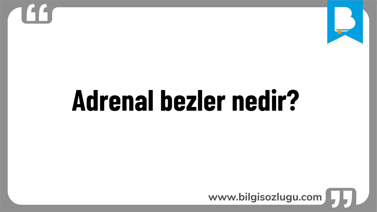 Adrenal bezler nedir?