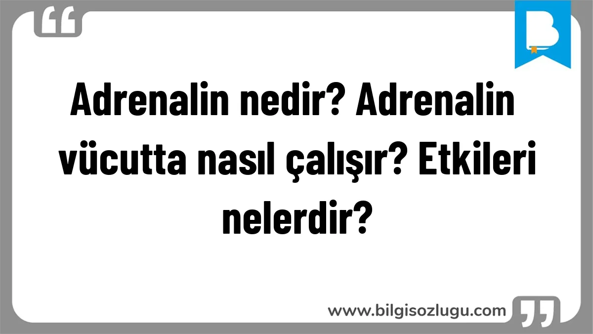 Adrenalin nedir? Adrenalin vücutta nasıl çalışır? Etkileri nelerdir?