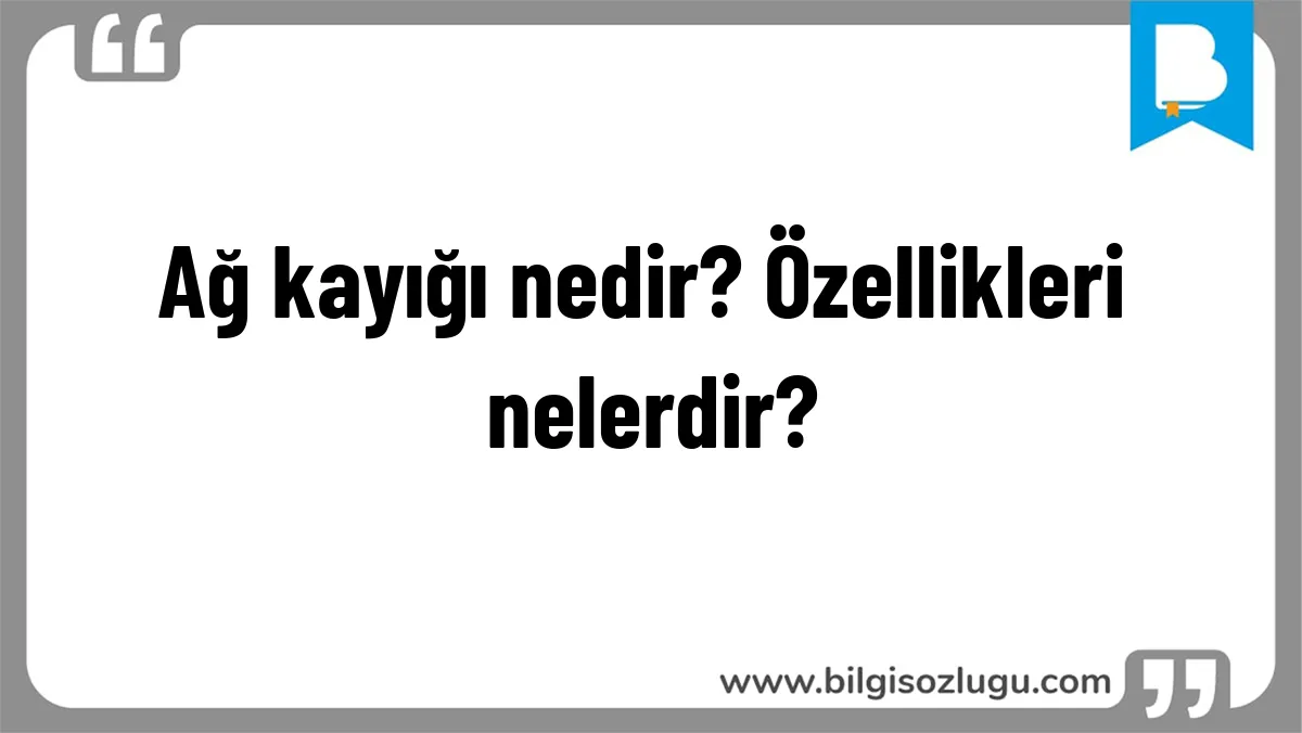 Ağ kayığı nedir? Özellikleri nelerdir?