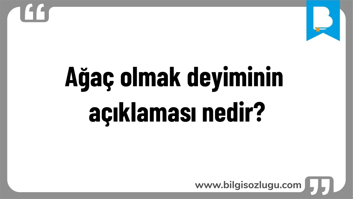 Ağaç olmak deyiminin açıklaması nedir?
