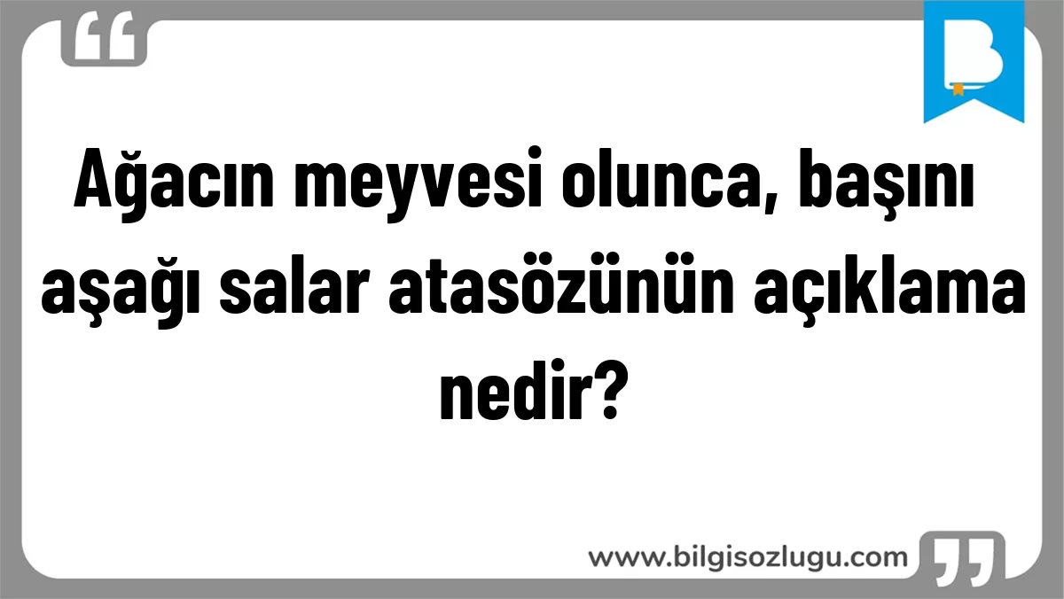 Ağacın meyvesi olunca, başını aşağı salar atasözünün açıklama nedir?