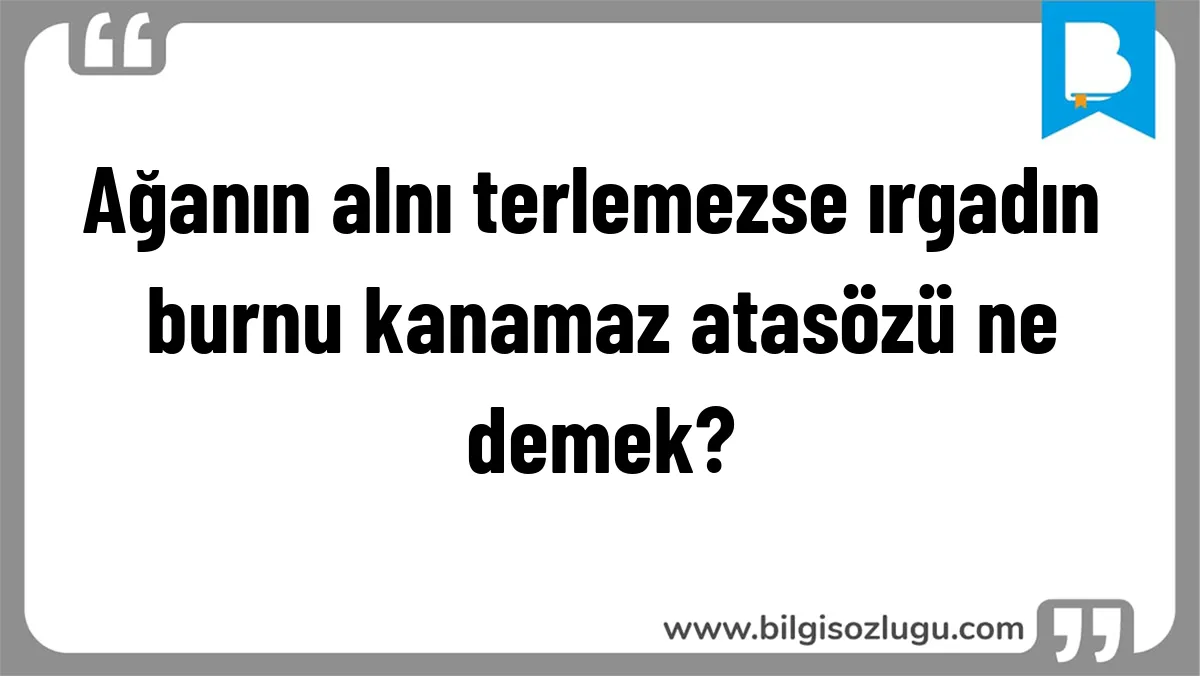 Ağanın alnı terlemezse ırgadın burnu kanamaz atasözü ne demek?
