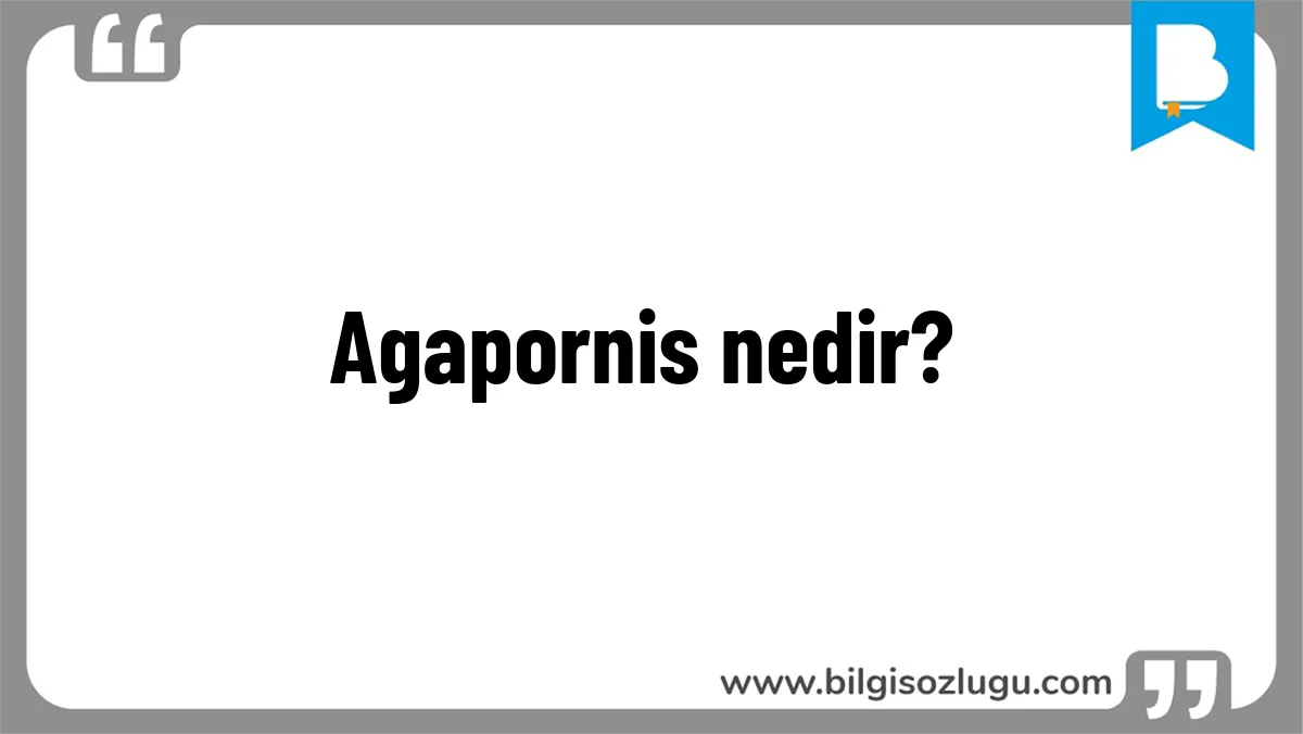 Agapornis nedir?