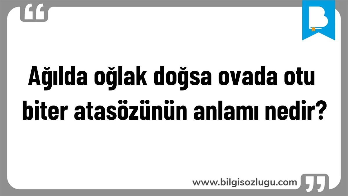 Ağılda oğlak doğsa ovada otu biter atasözünün anlamı nedir?