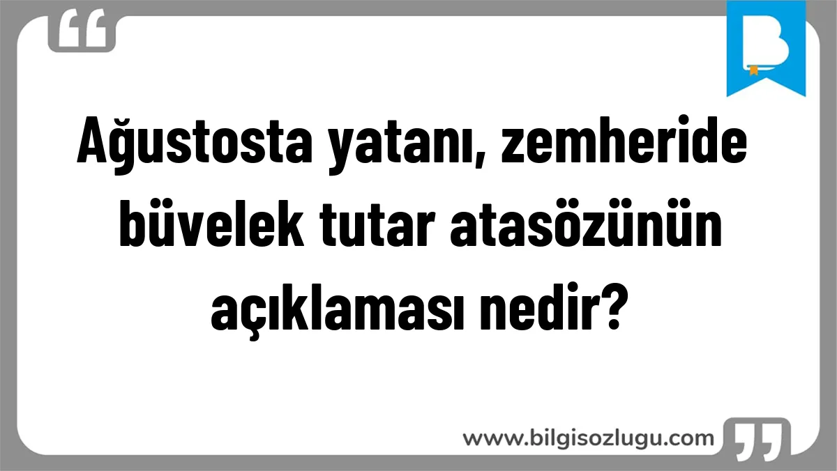 Ağustosta yatanı, zemheride büvelek tutar atasözünün açıklaması nedir?