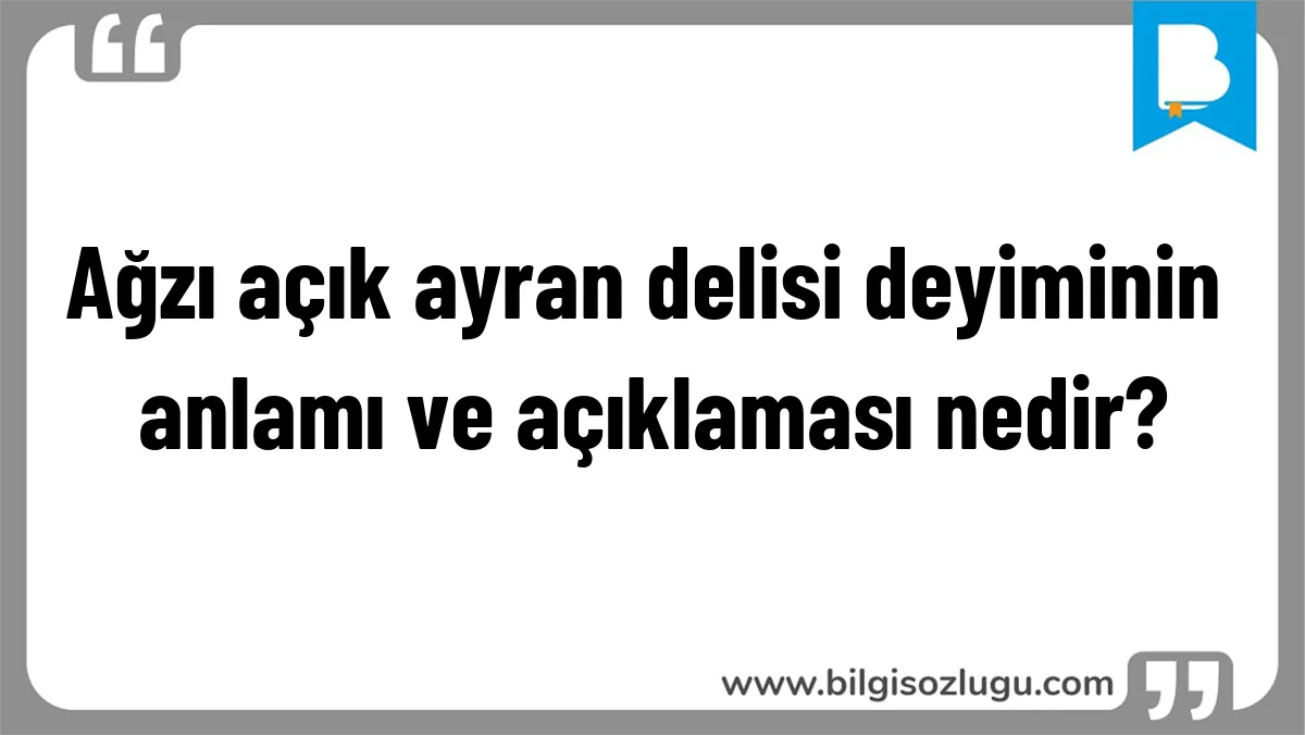 Ağzı açık ayran delisi deyiminin anlamı ve açıklaması nedir?