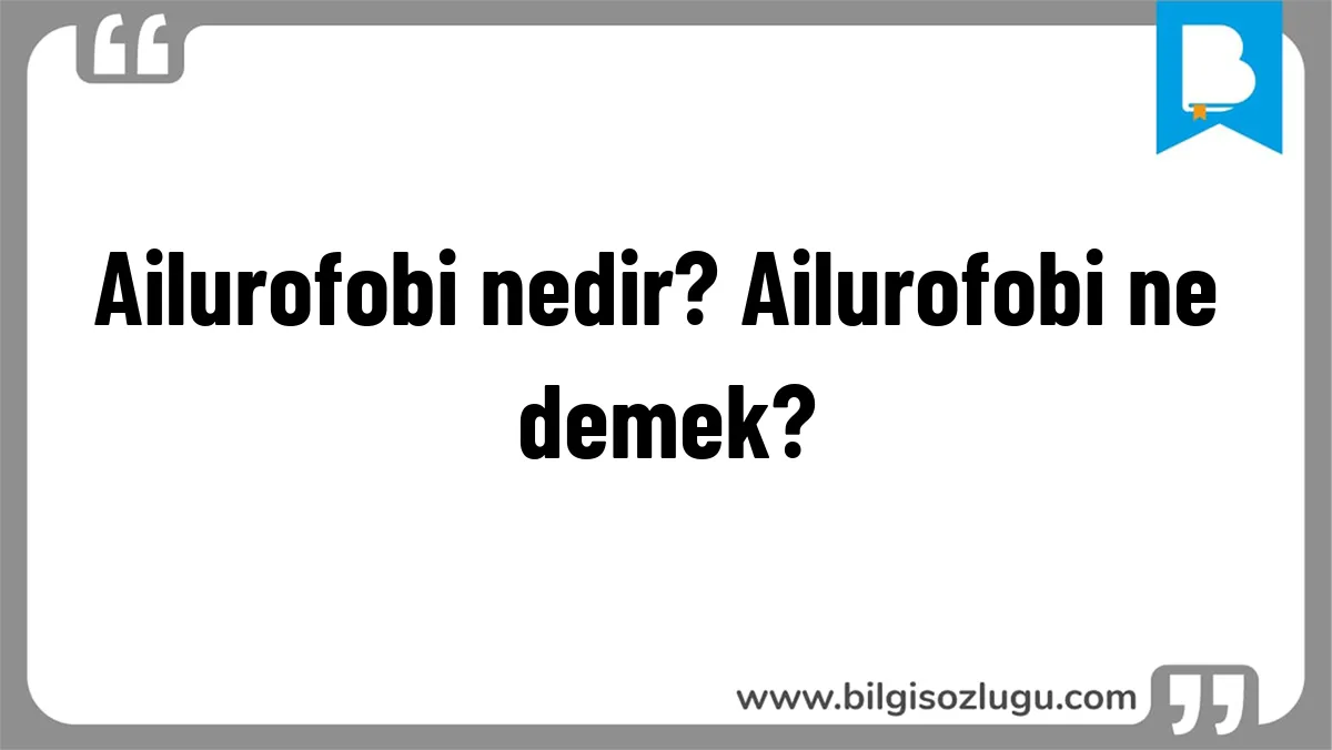 Ailurofobi nedir? Ailurofobi ne demek?