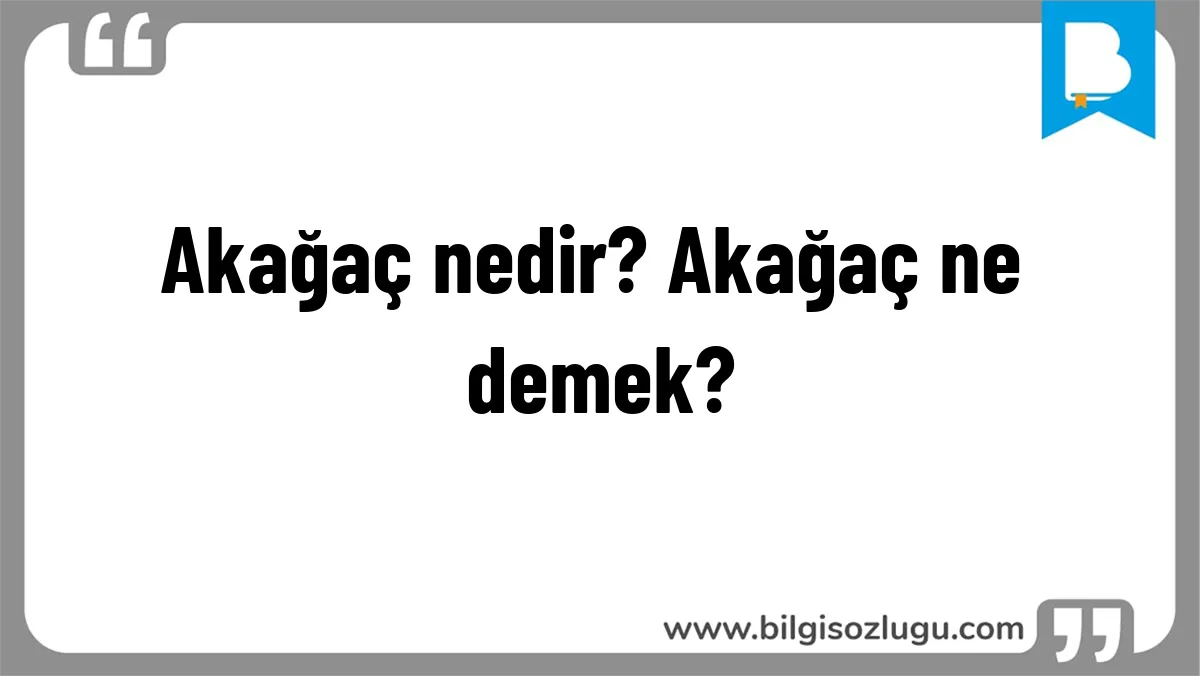 Akağaç nedir? Akağaç ne demek?