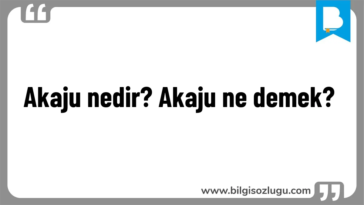 Akaju nedir? Akaju ne demek?