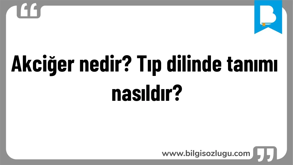 Akciğer nedir? Tıp dilinde tanımı nasıldır?