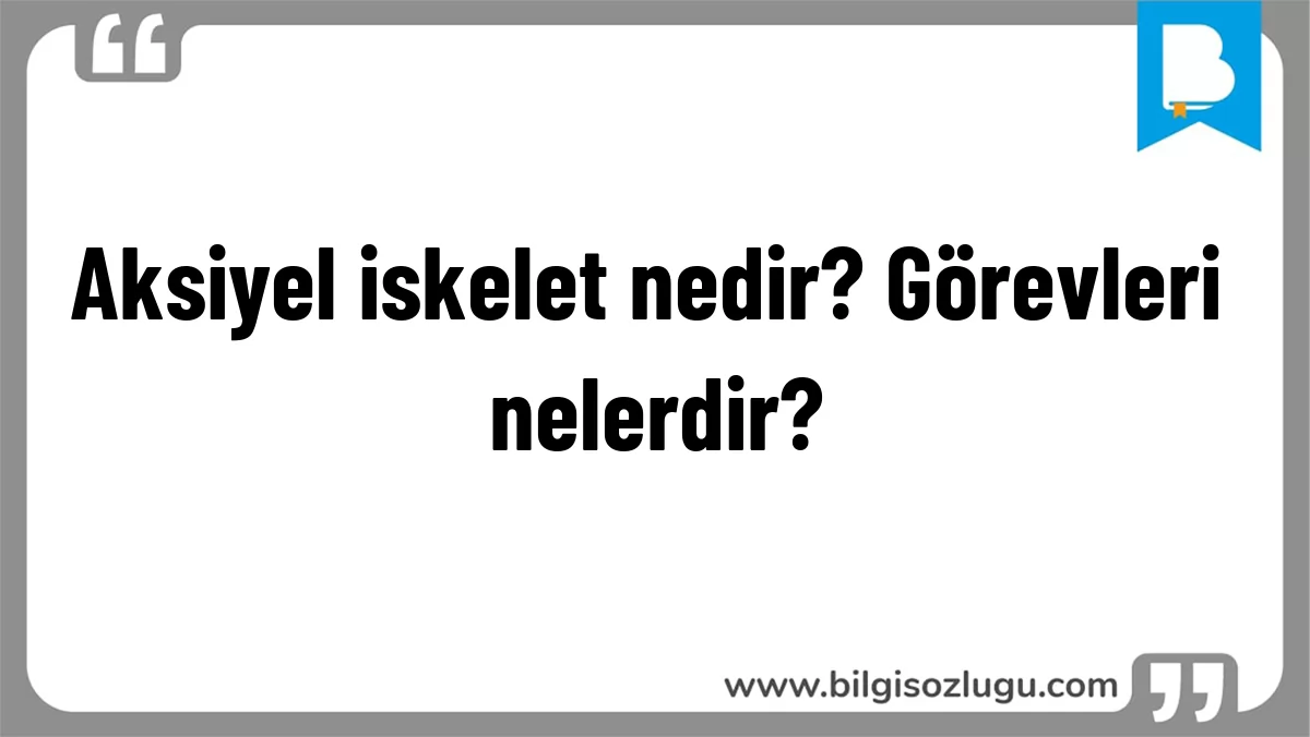Aksiyel iskelet nedir? Görevleri nelerdir?