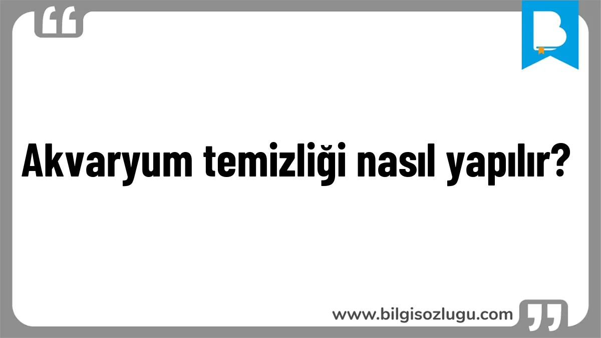 Akvaryum temizliği nasıl yapılır?