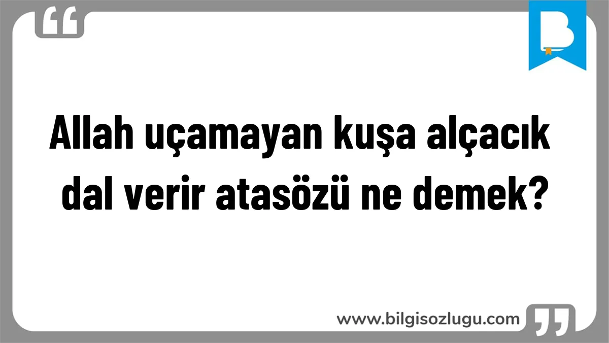 Allah uçamayan kuşa alçacık dal verir atasözü ne demek?