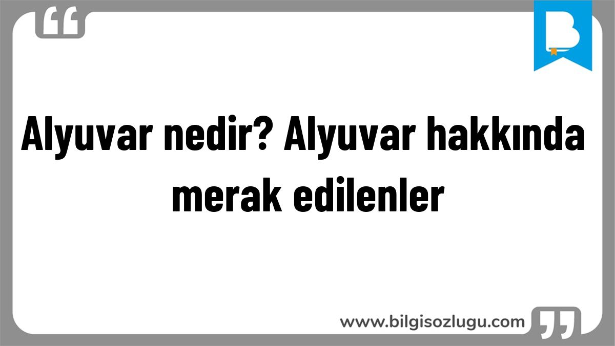 Alyuvar nedir? Alyuvar hakkında merak edilenler