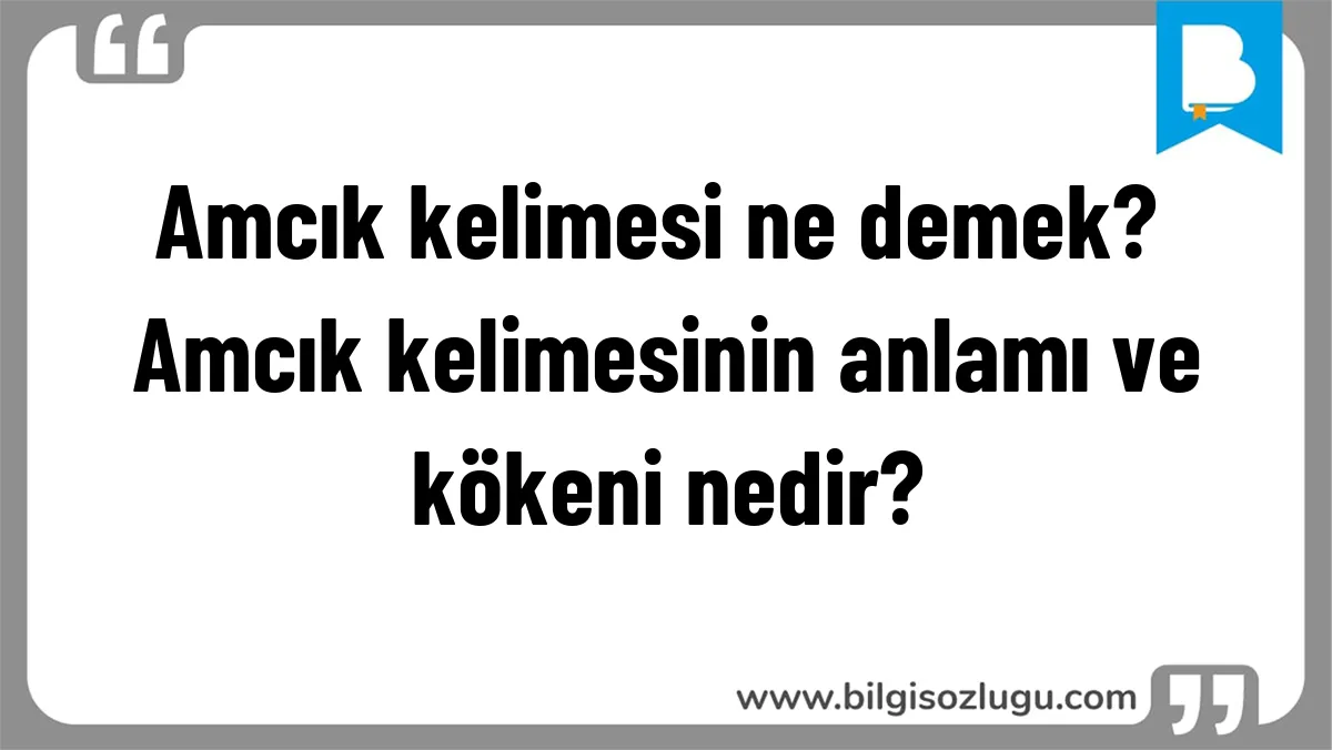 Amcık kelimesi ne demek? Amcık kelimesinin anlamı ve kökeni nedir?