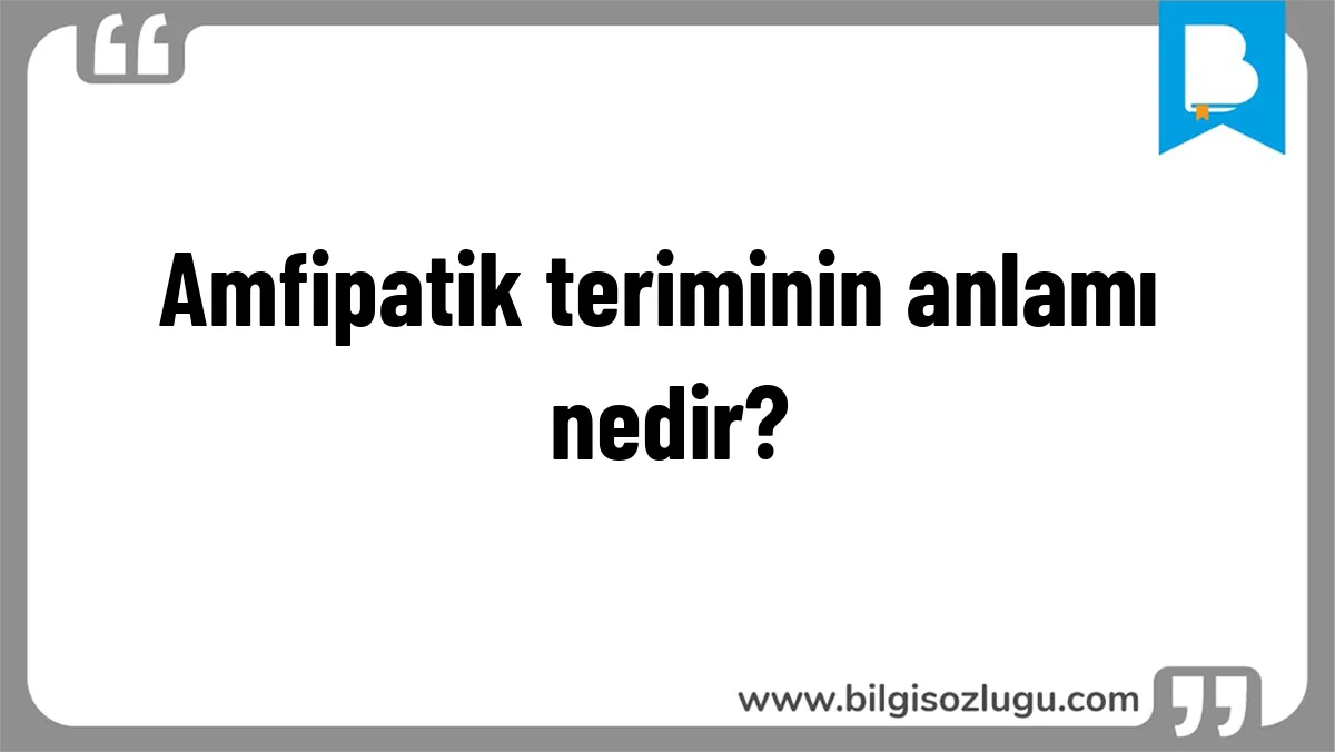 Amfipatik teriminin anlamı nedir?