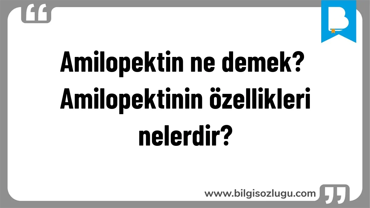 Amilopektin ne demek? Amilopektinin özellikleri nelerdir?